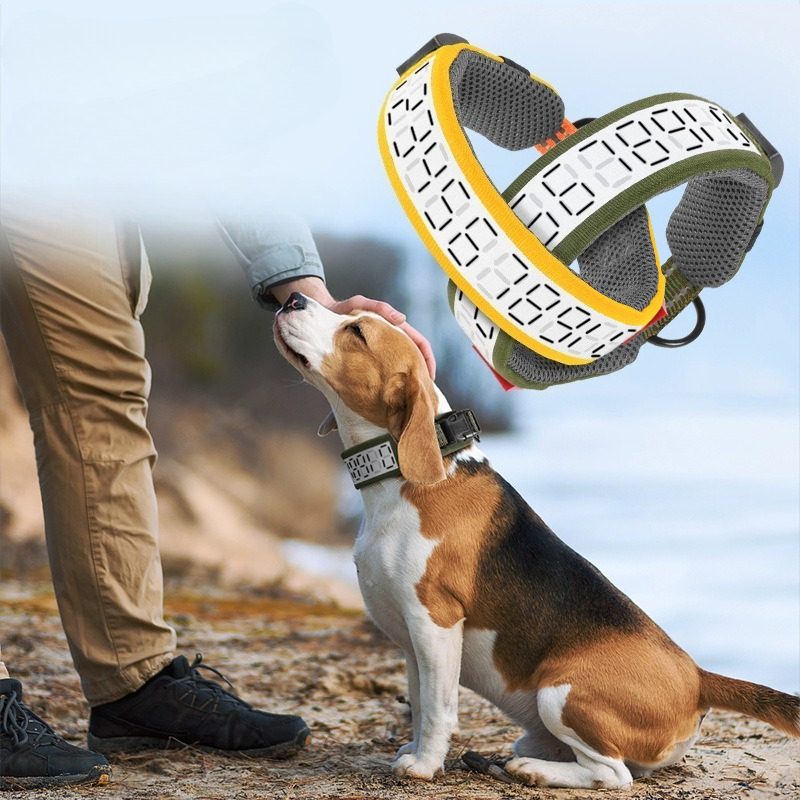 Outdoor Hunting Dog Collar - Outdoor Reflective Dog Collar for Large