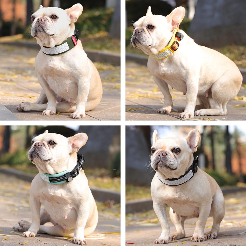 Outdoor Hunting Dog Collar - Outdoor Reflective Dog Collar for Large