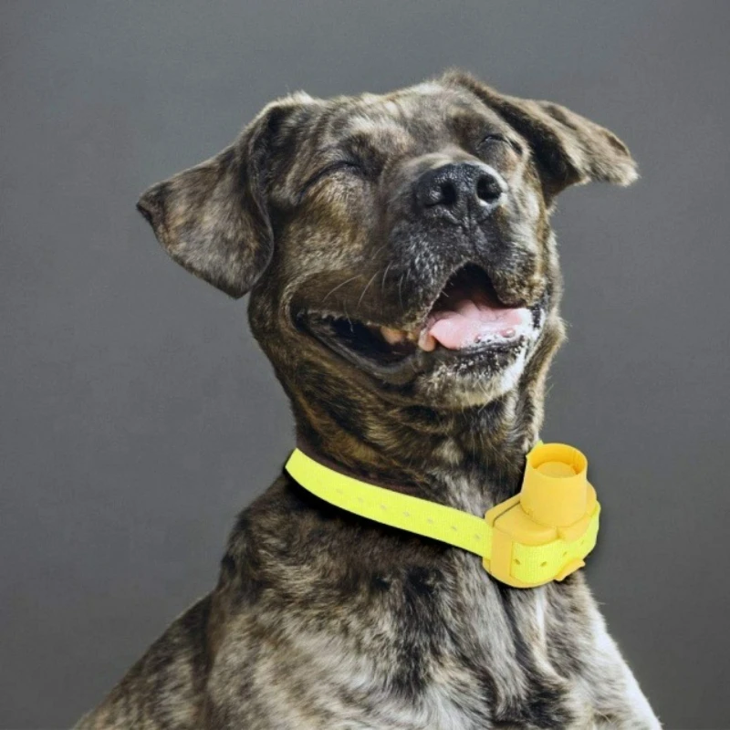 Outdoor Hunting Dog Collar - Updated Outdoor Hunting Dog Beeper Collars,