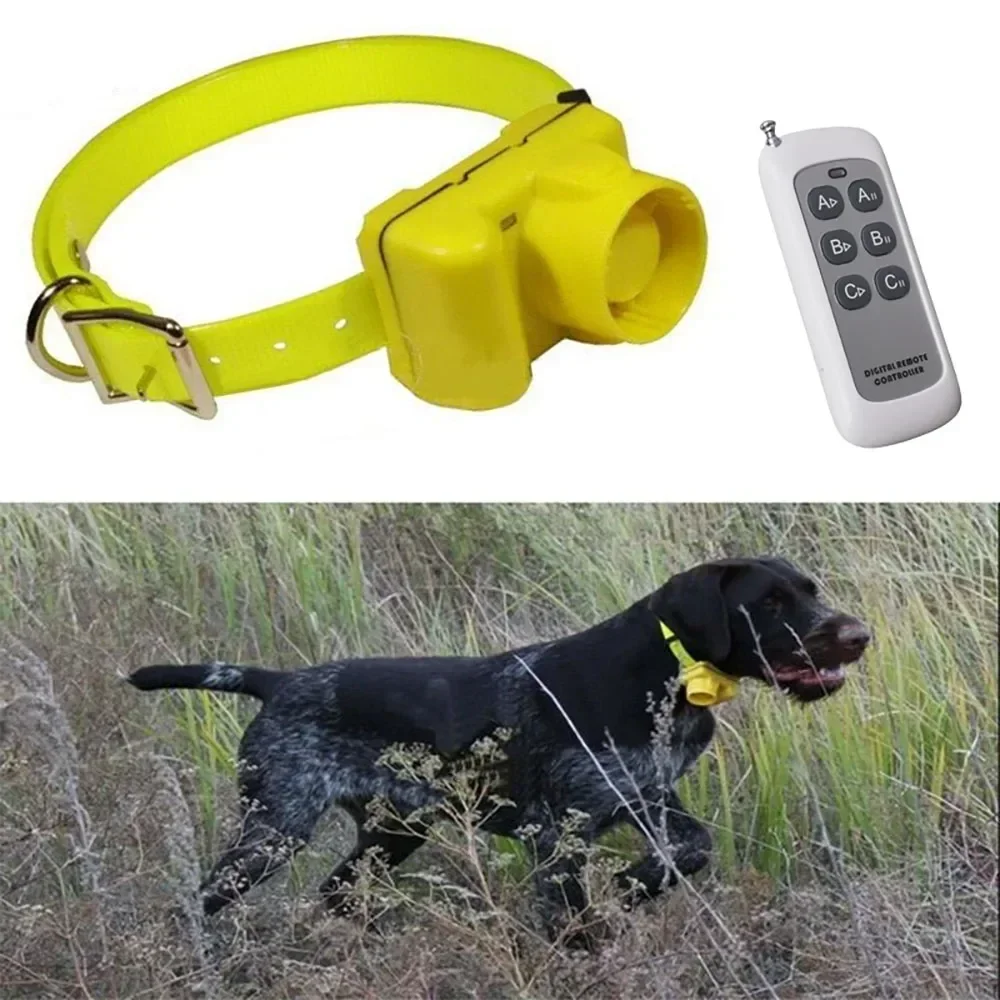CC-PetPulse Outdoor Waterproof - огляд і ціна Outdoor Hunting Dog Collar