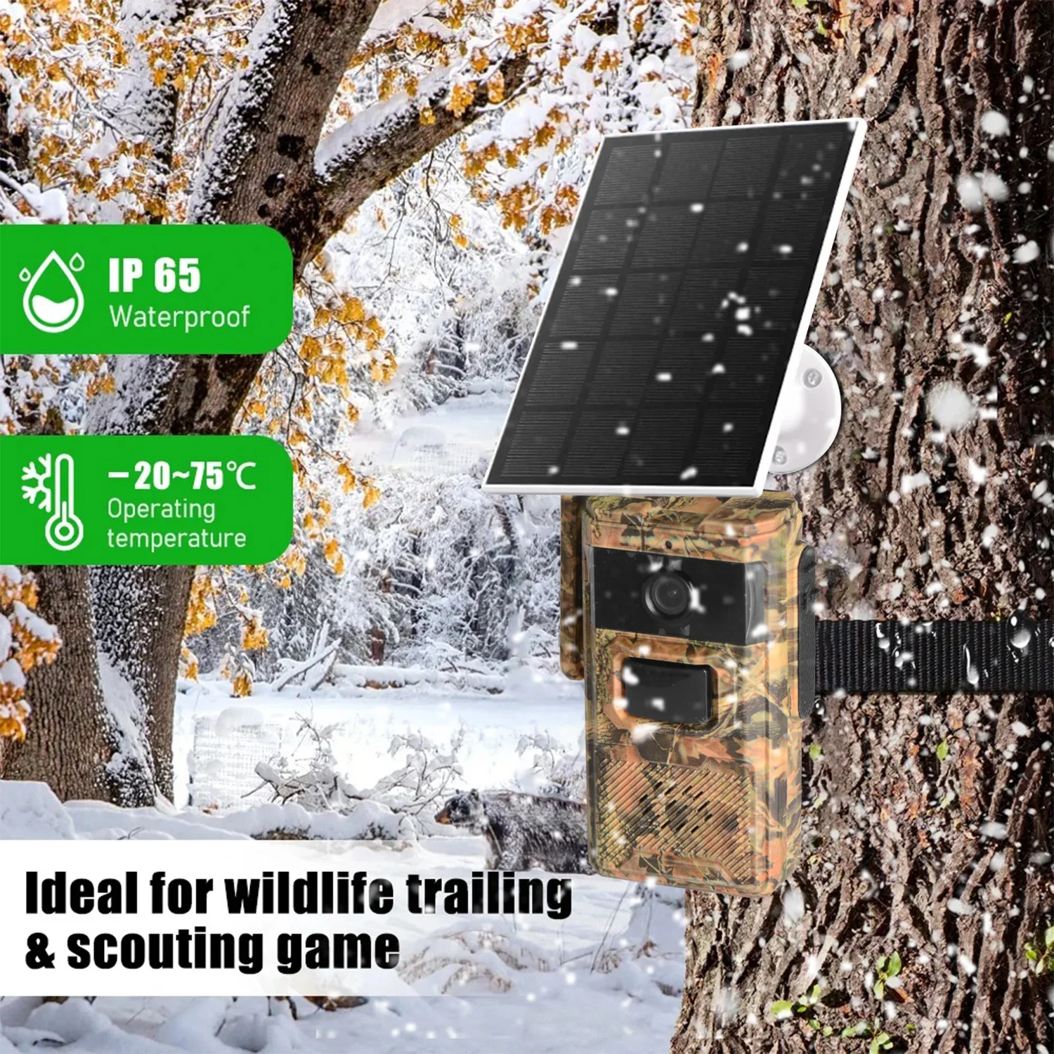 EU 4G LTE Cellular Sim Card 2K - огляд і ціна Hunting Outdoors Card