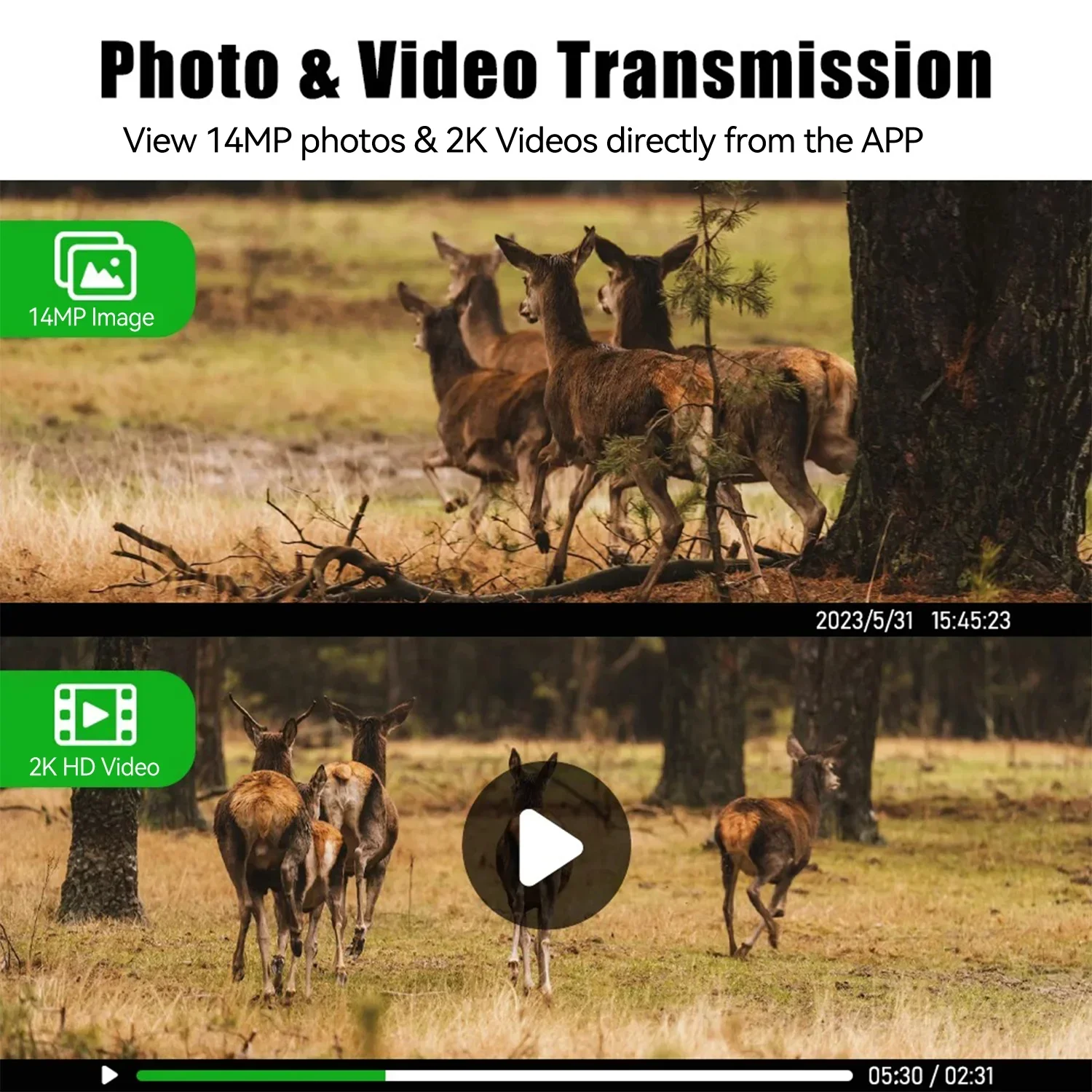 EU 4G LTE Cellular Sim Card 2K - огляд і ціна Hunting Outdoors Card