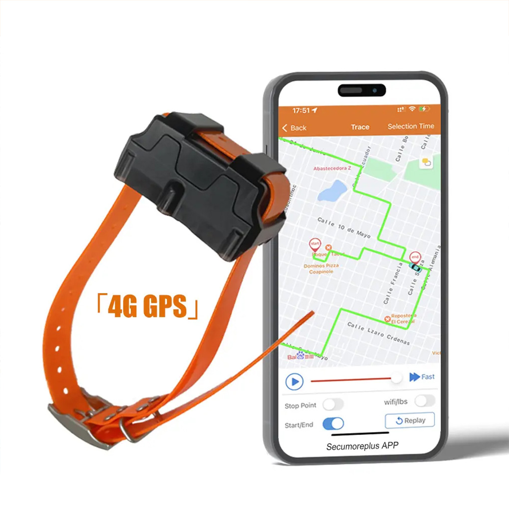 CY09A Portable Pet GPS Tracker - огляд і ціна Outdoor Hunting Dog Collar