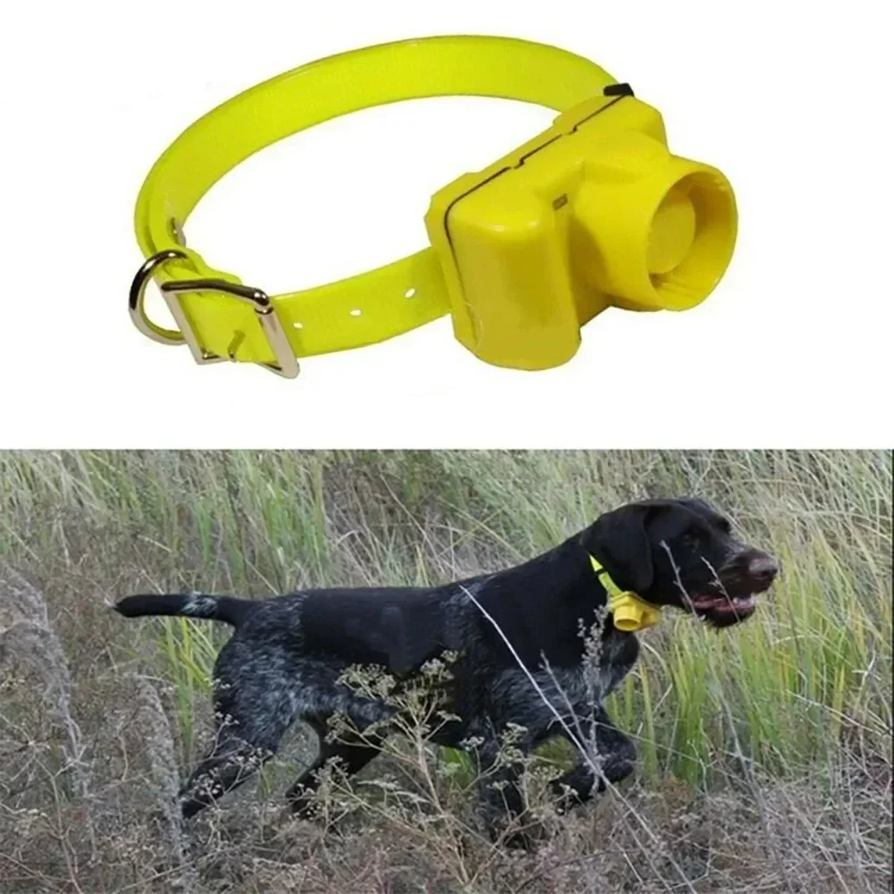 Updated Outdoor Hunting Dog Be - огляд і ціна Outdoor Hunting Dog Collar