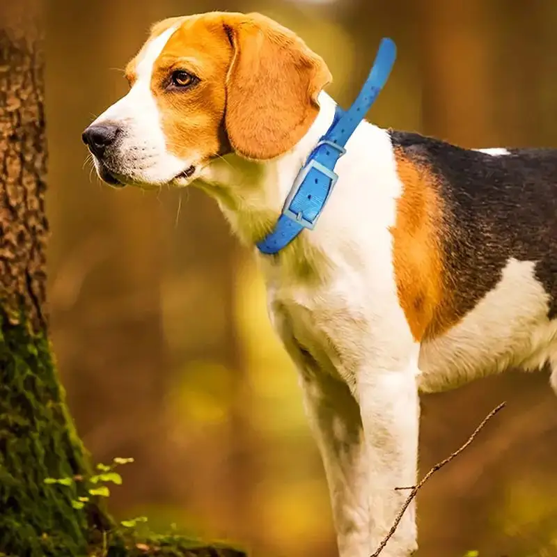 TPU Outdoor Pet Safety Collar  - огляд і ціна Outdoor Hunting Dog Collar