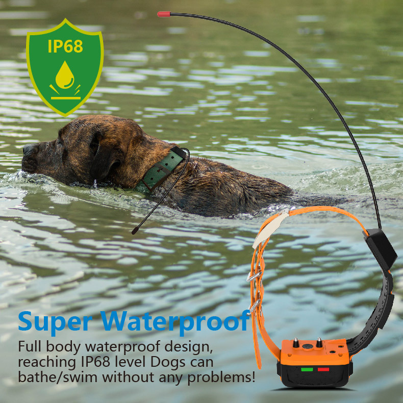Wholesale 4G GPS Dog Collar an - огляд і ціна Outdoor Hunting Dog Collar