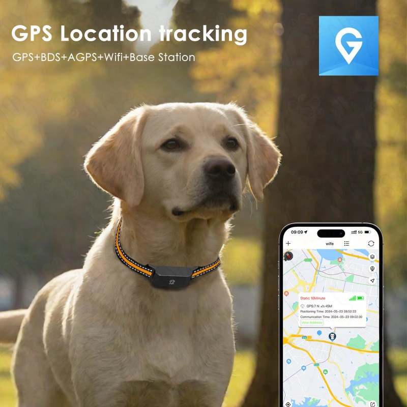 Dog GPS Tracker Outdoor Campin - огляд і ціна Outdoor Hunting Dog Collar
