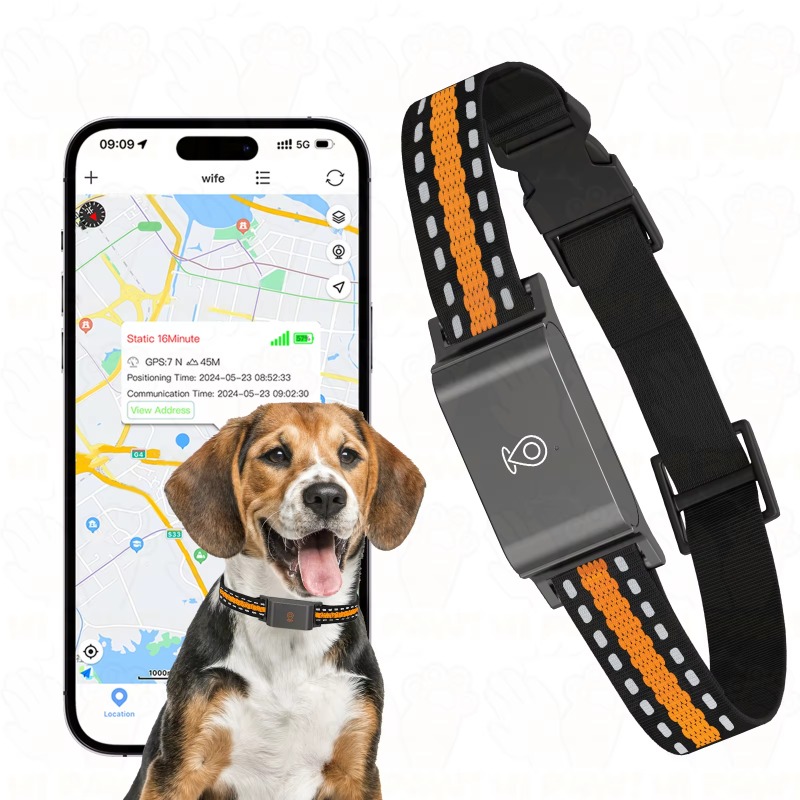 Dog GPS Tracker Outdoor Campin - огляд і ціна Outdoor Hunting Dog Collar